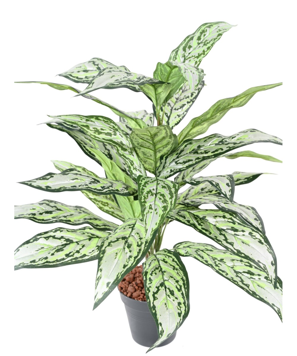 Kunstlik AGLAONEMA *28