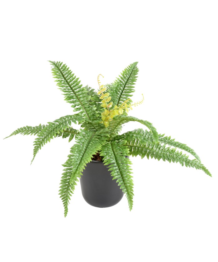 FERN 15 tehislik
