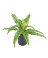 FERN 15 artificial