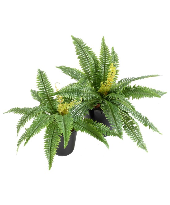 FERN 19 tehislik
