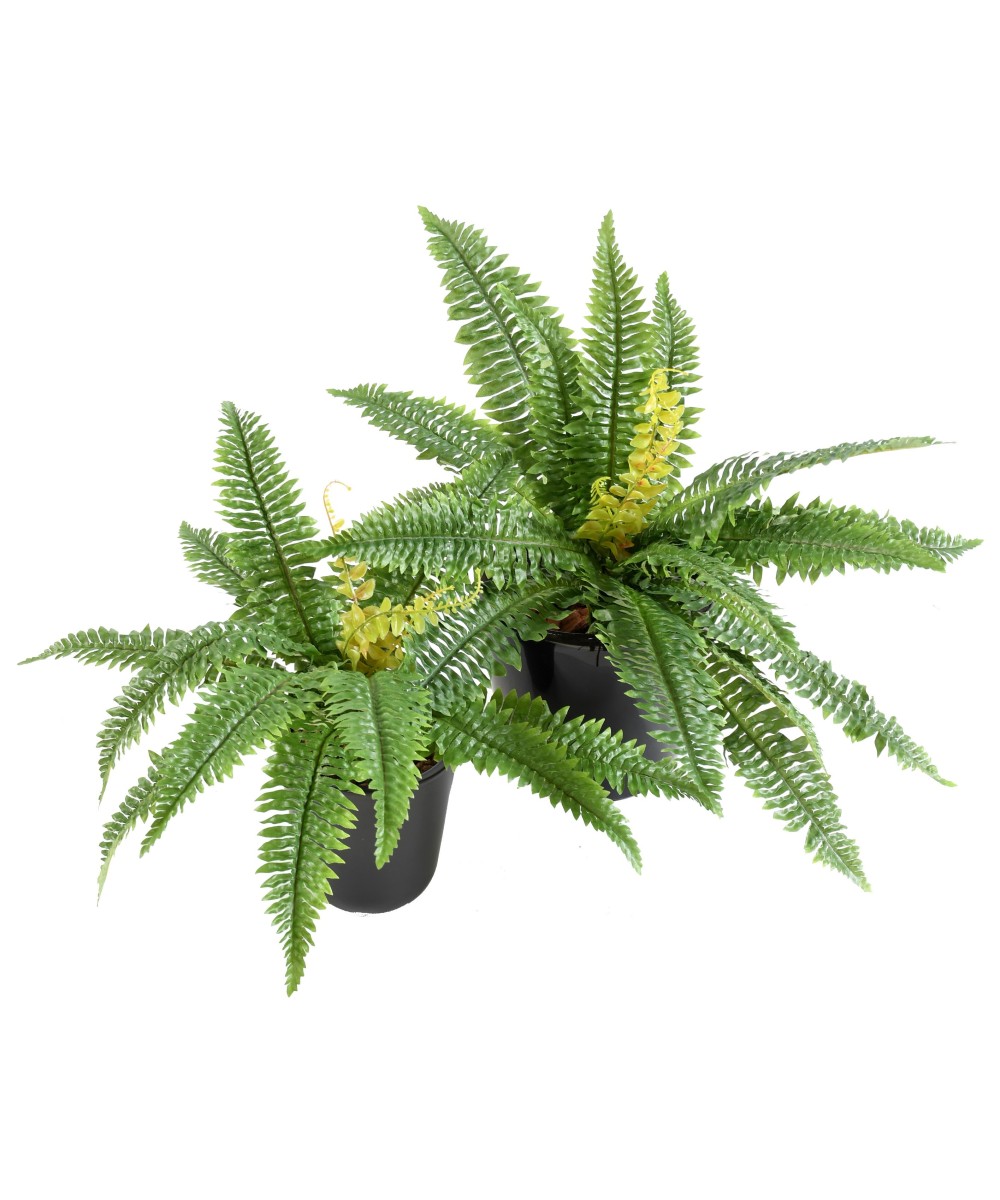 FERN 19 tehislik
