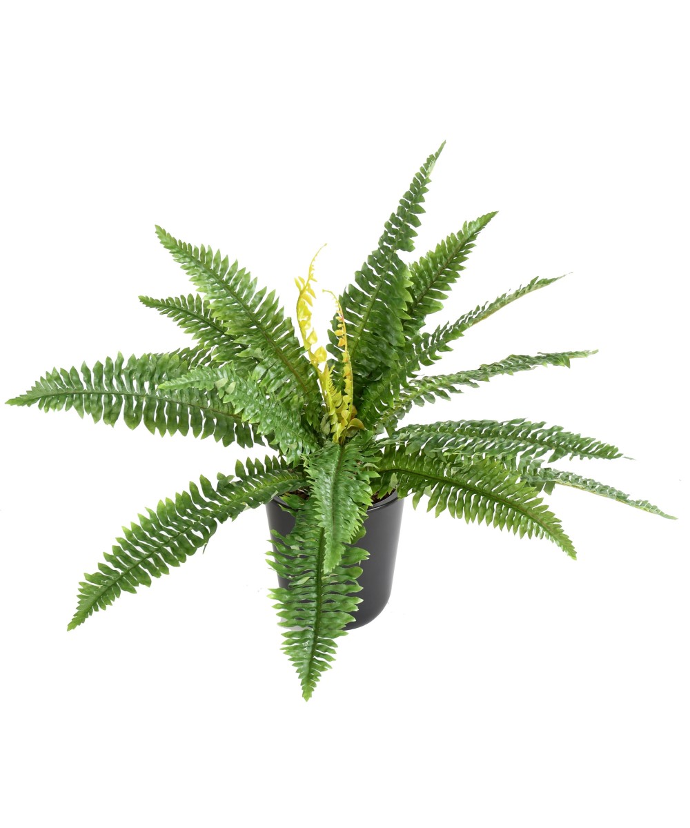 FERN 19 tehislik