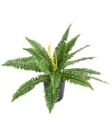 FERN 19 tehislik
