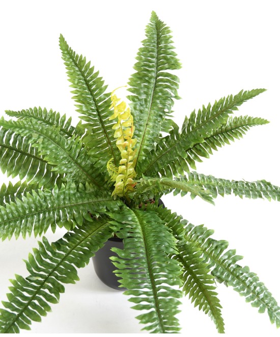 FERN 19 tehislik
