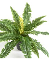 FERN 19 tehislik