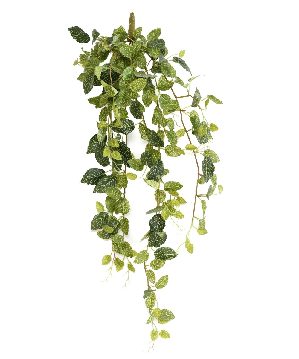 Kunstlik MINI FITTONIA *231