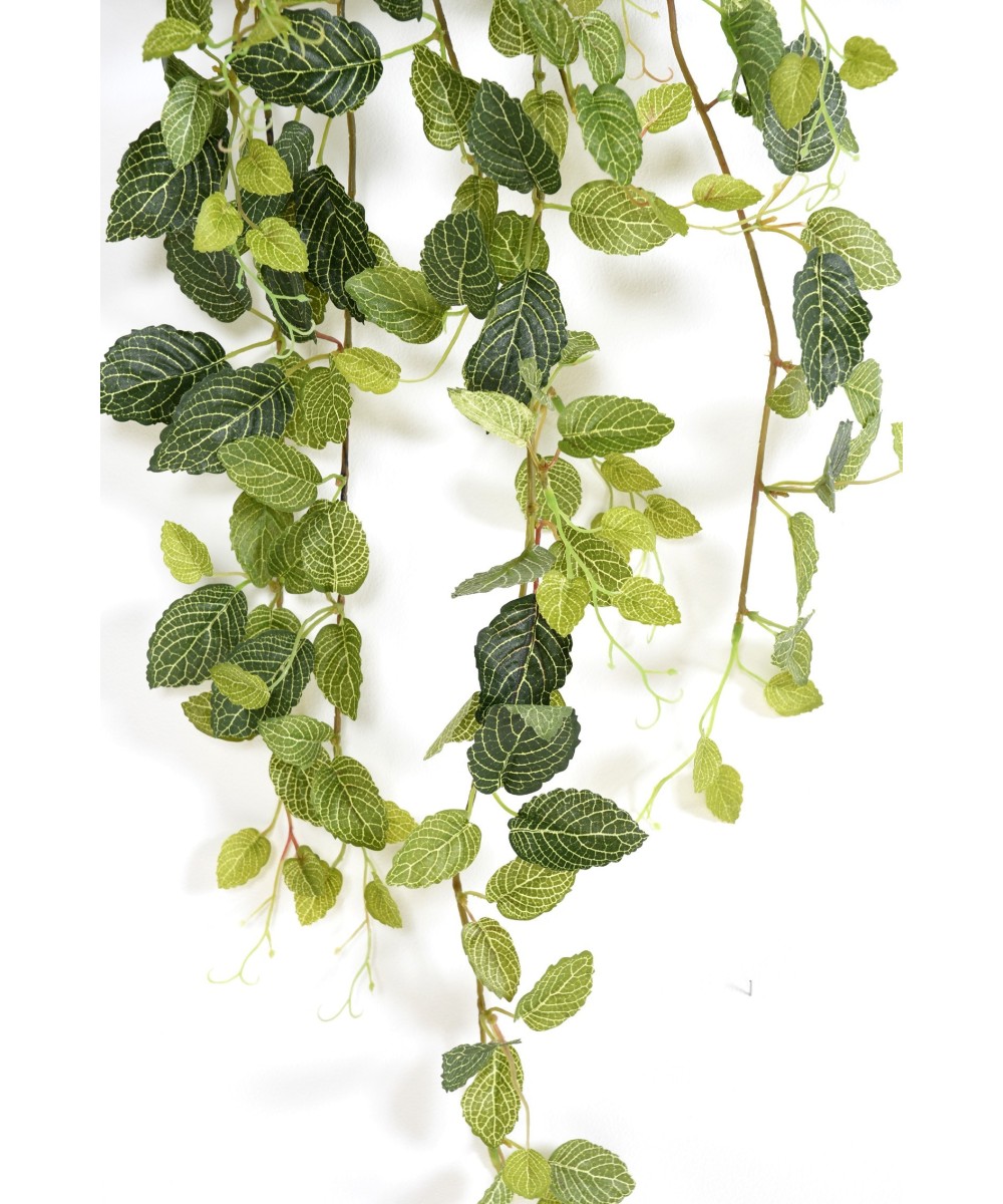 Kunstlik MINI FITTONIA *231