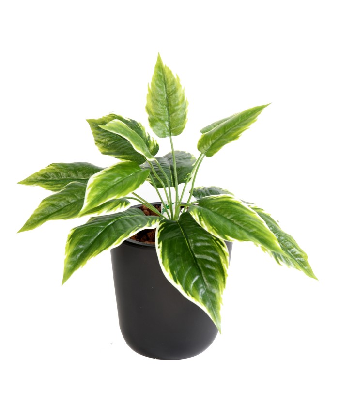 Kunstlik MINI HOSTA