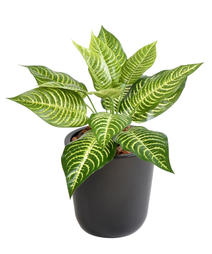 Kunstlik MINI APHELANDRA
