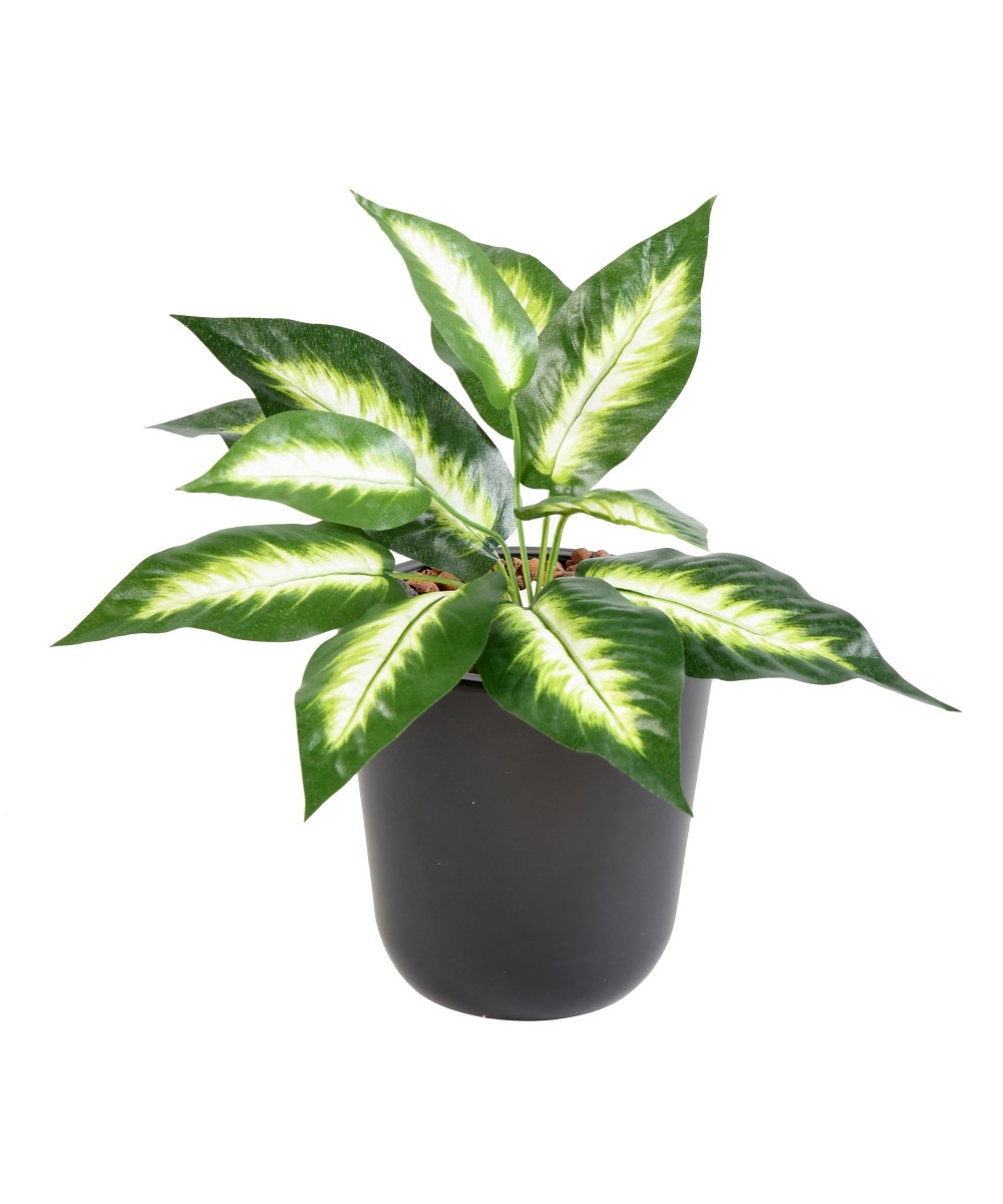 Kunstlik MINI DIEFFENBACHIA
