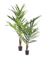 Kunstkentia palm ECO