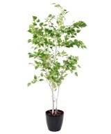 Artificial SILVER BIRCH