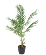 Artificial ARECA