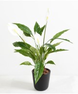 Artificial SPATHIPHYLLUM (Peace Lily) 4 Flowers