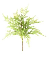 MINI ASPARAGUS artificial