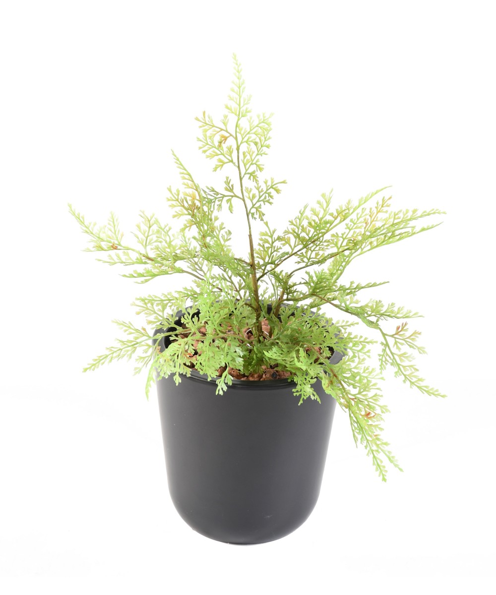 MINI ASPARAGUS artificial
