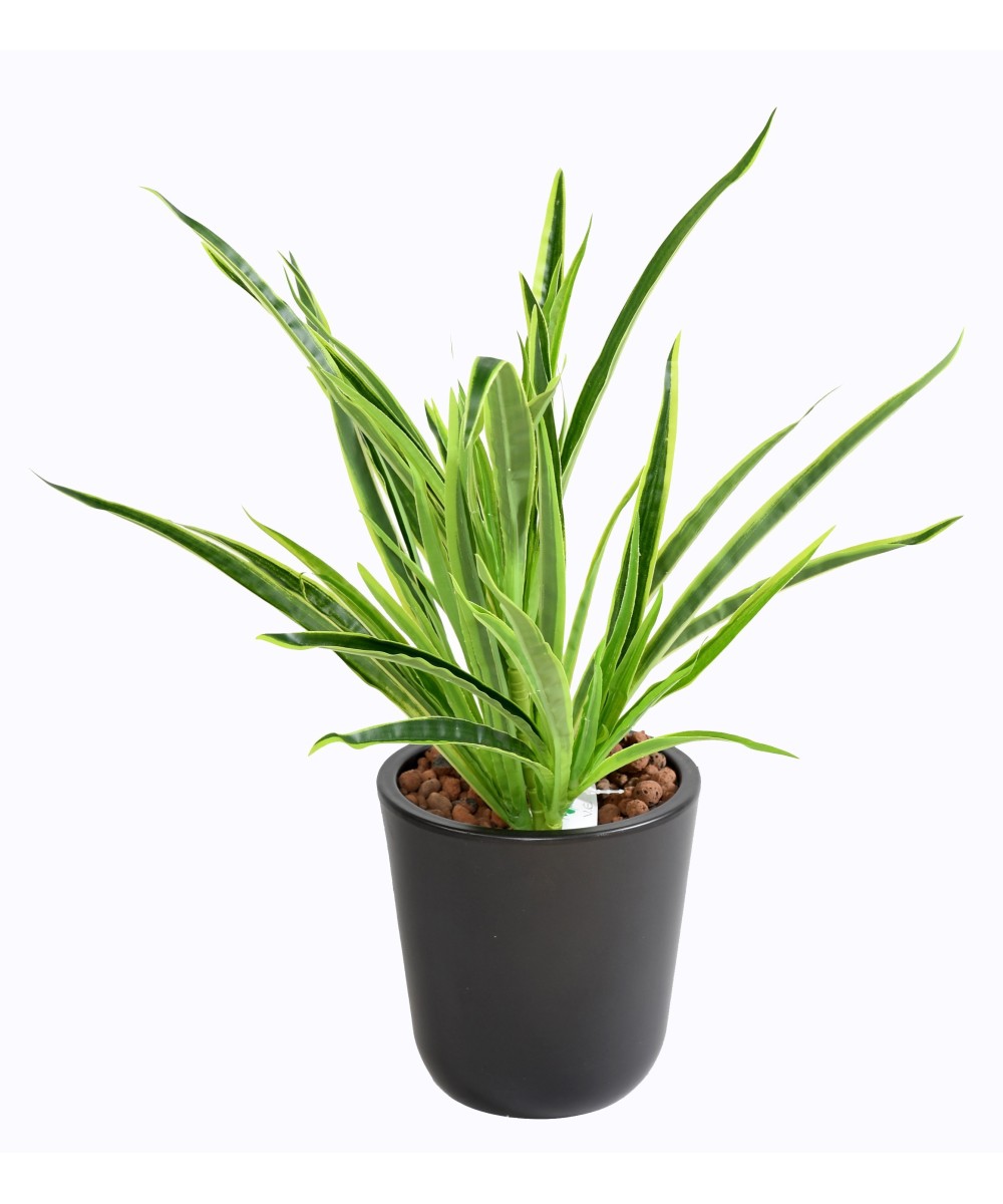 Artificial DRACAENA PLANT