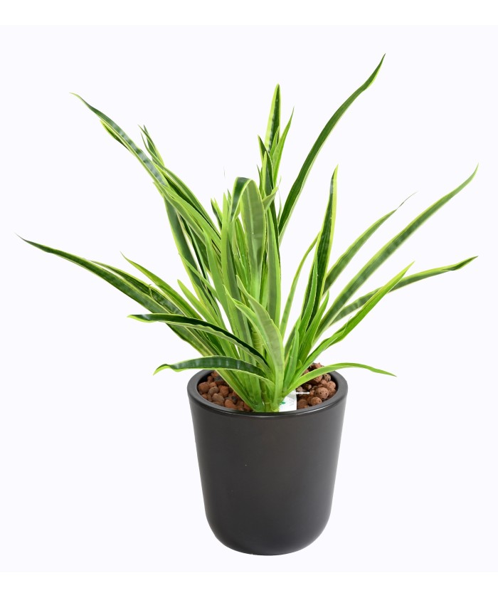 Artificial DRACAENA PLANT