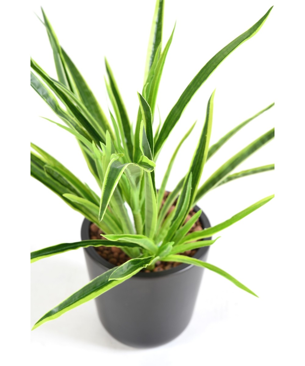 Artificial DRACAENA PLANT