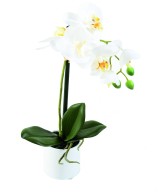 Artificial PHALAENOPSIS ORCHID POT white