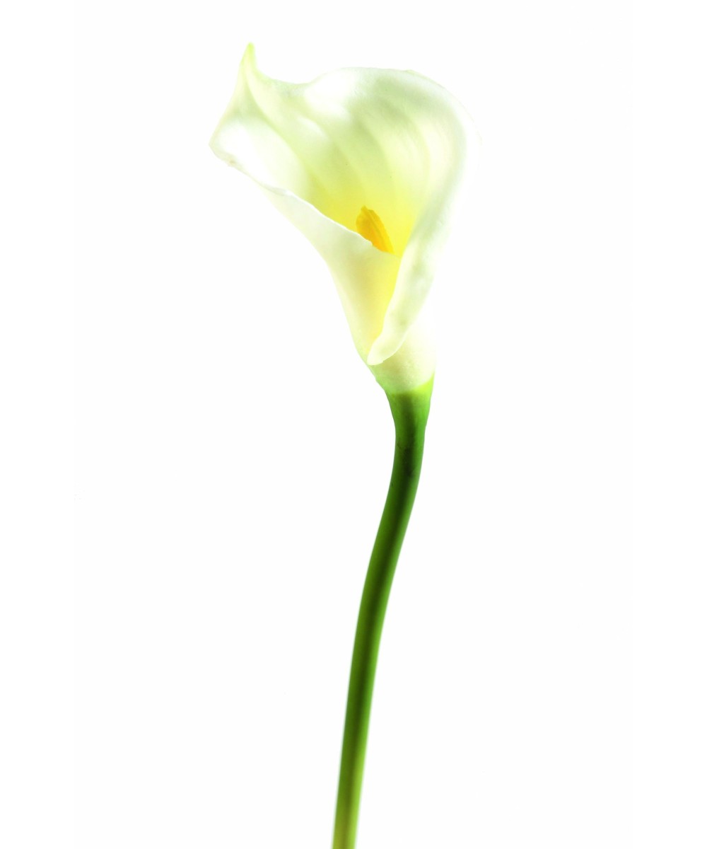 Kunstlik kalla M (ARUM)