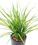 Artificial JUNCUS GRASS