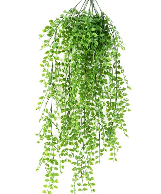 Artificial CALLISIA hanging bush