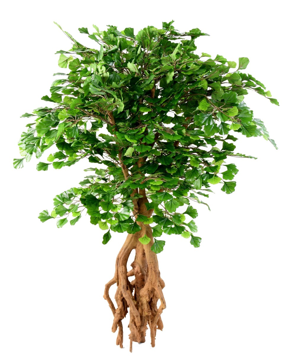 Artificial GINKGOBILOBA ROOT