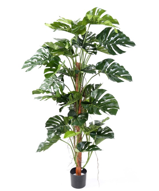 Kunstfilodendron Monstera kookospuul (uus)