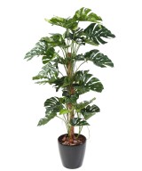 Kunstfilodendron Monstera kookospuul (uus)