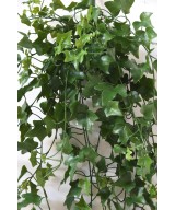 Artificial IVY *322 UV