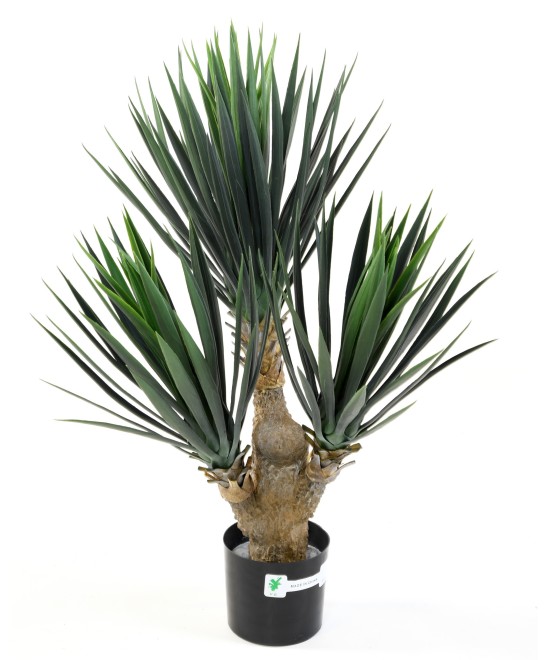 Kunstlik beebi-yucca *3
