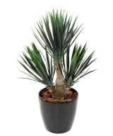 Artificial BABY YUCCA *3