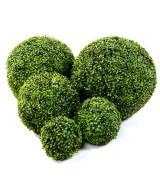 Artificial boxwood BALL GR