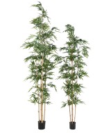Artificial ASYMMETRICAL BAMBOO