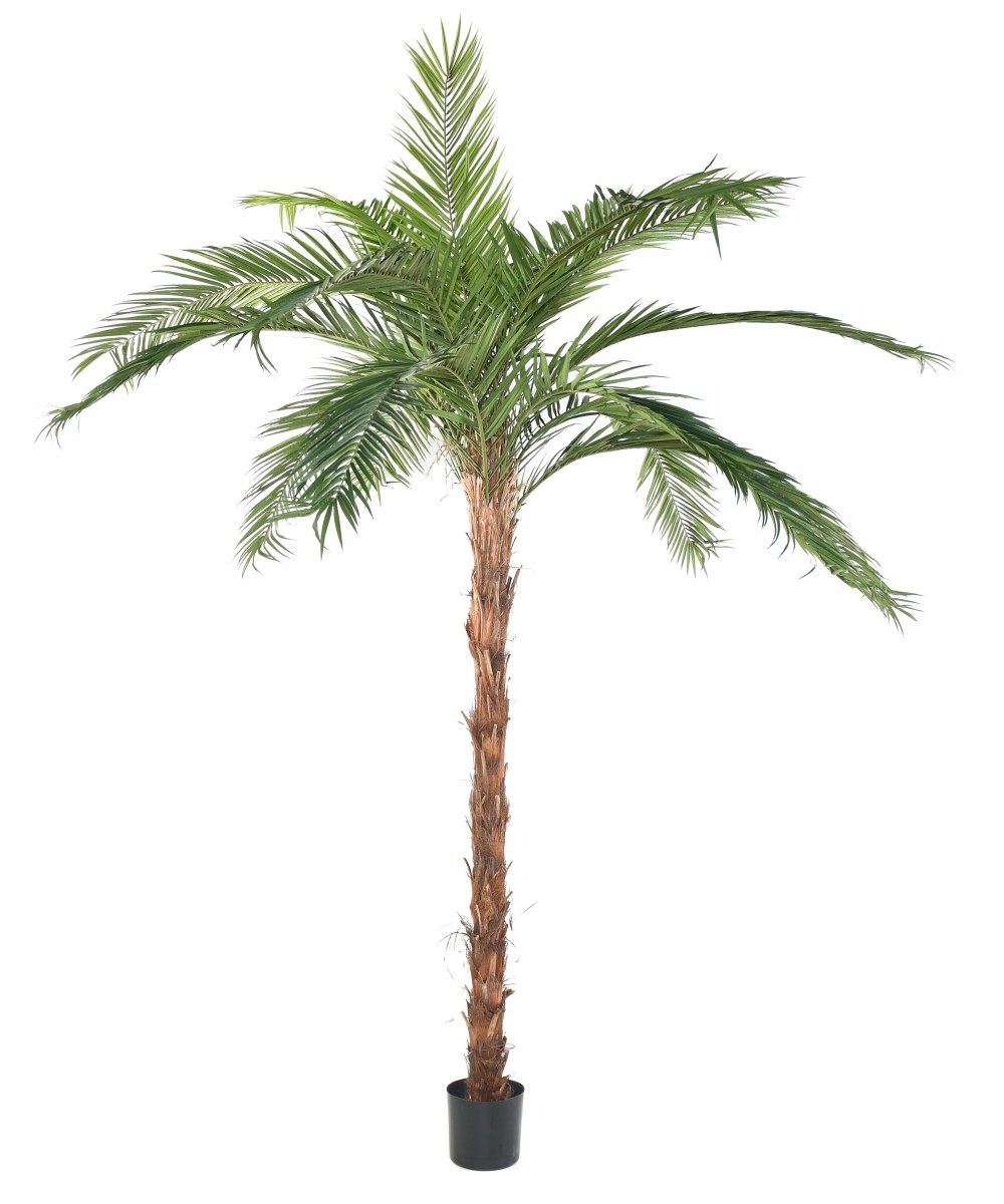 Artificial PALM TREE PHOENIX CANARY ISLAND DATE PALM