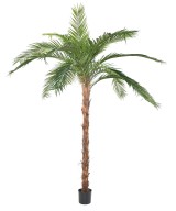 Artificial PALM TREE PHOENIX CANARY ISLAND DATE PALM