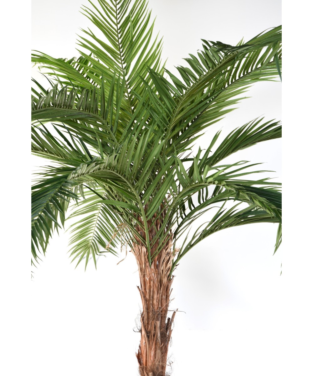 Artificial PALM TREE PHOENIX CANARY ISLAND DATE PALM