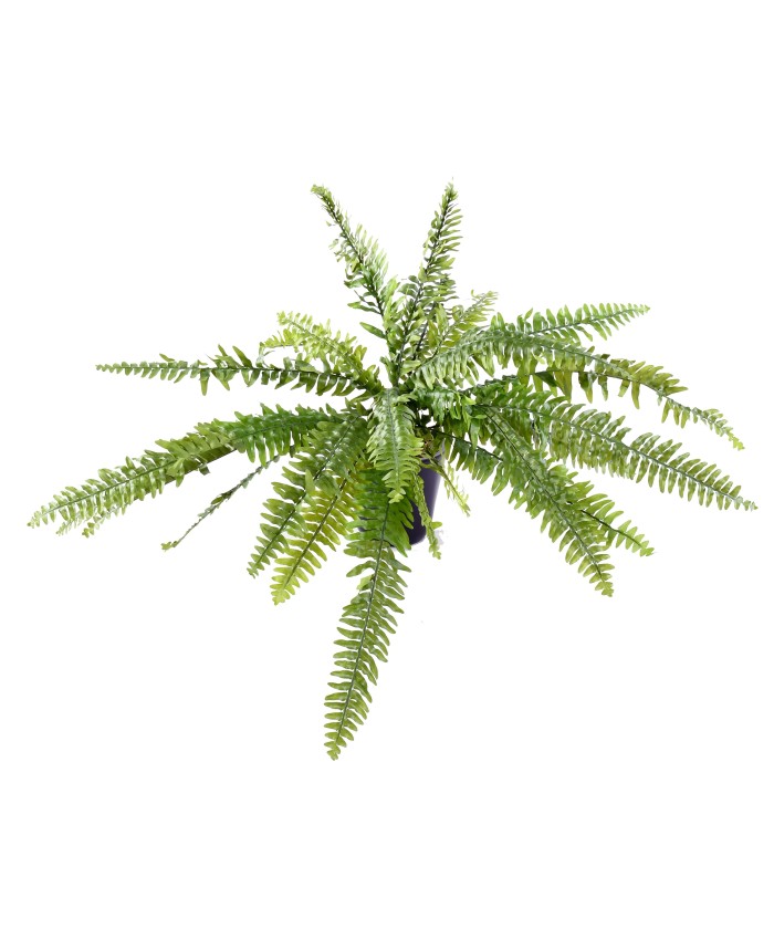 Kunstlik Boston Fern