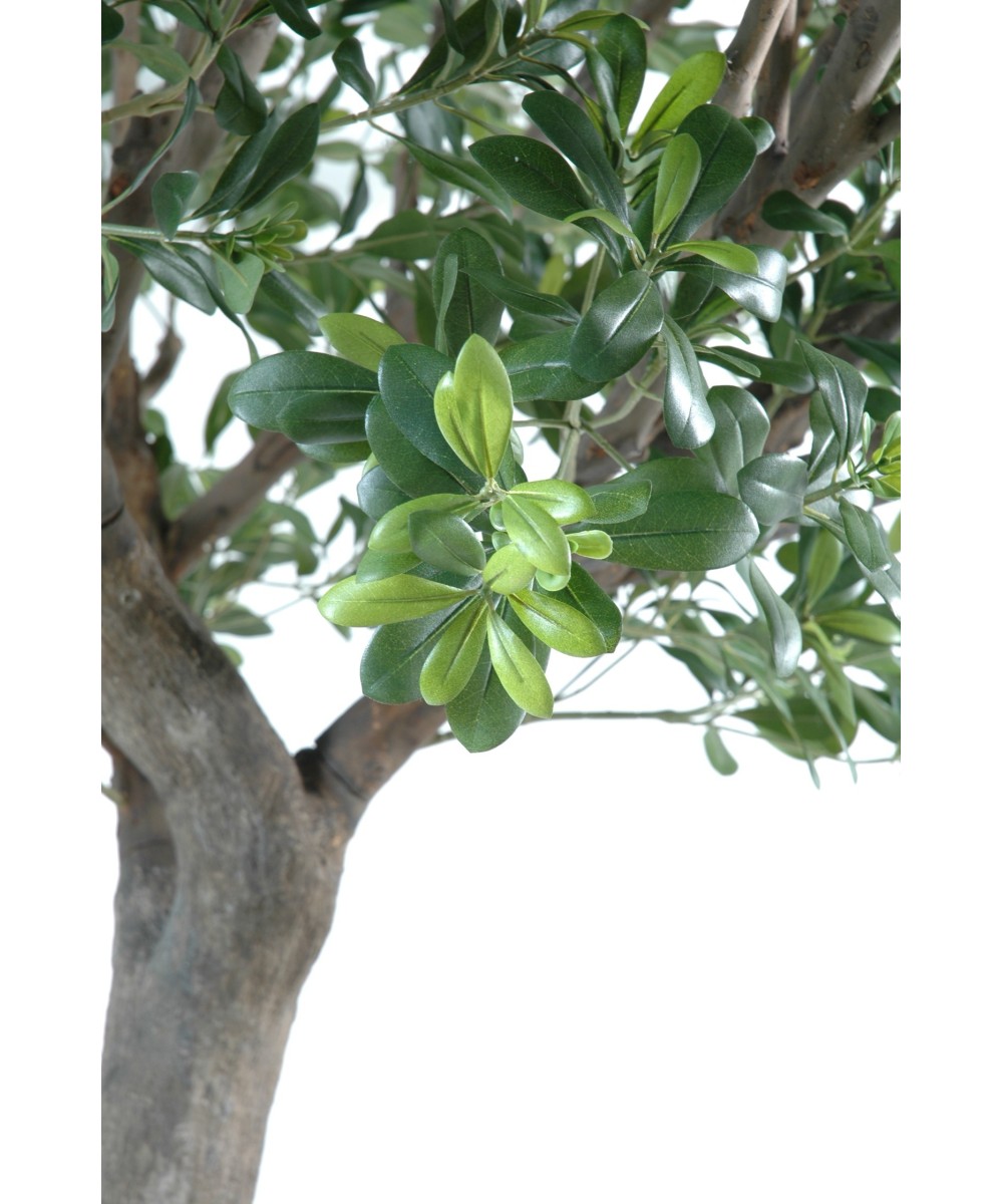 Kunstpittosporum puu