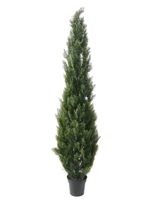 Kunstküpress (juniperus vj) MINI UUS
