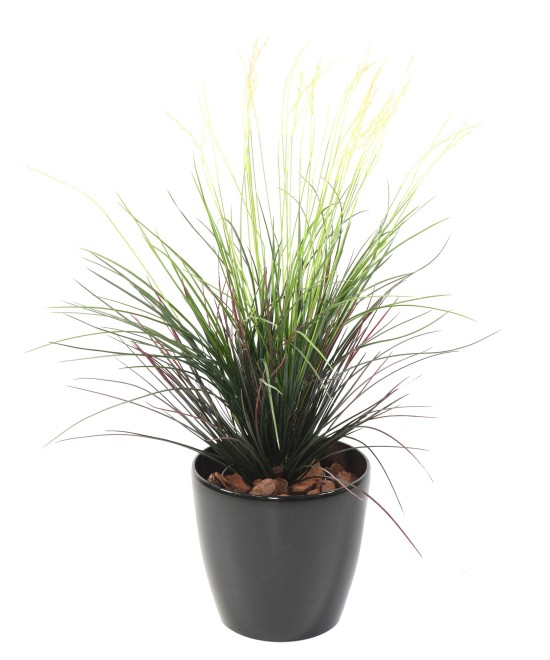Artificial Grass TUFT