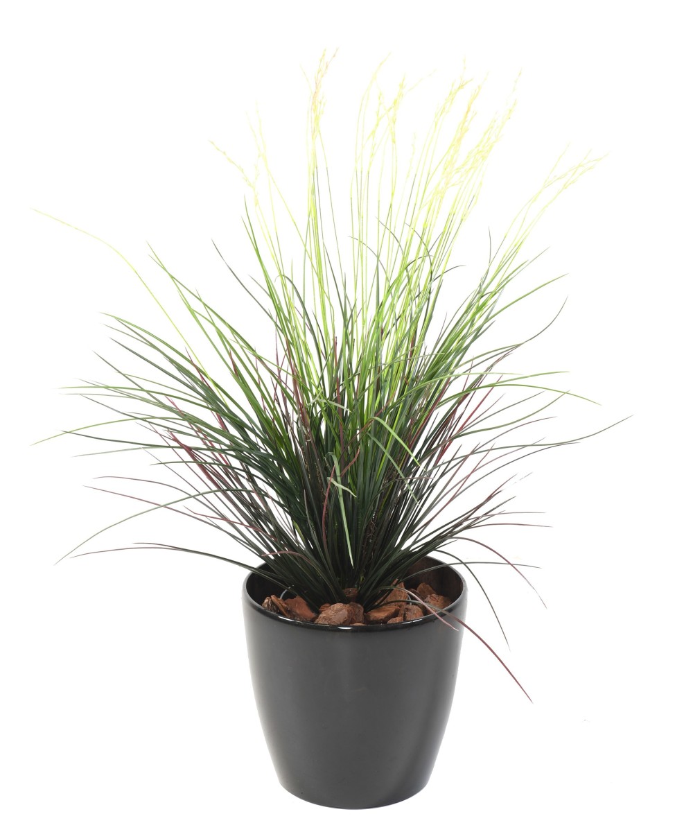 Artificial Grass TUFT