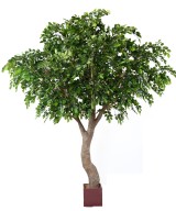 Artificial BEECH S