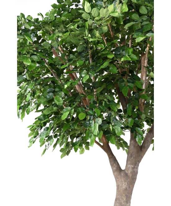 Artificial BEECH S