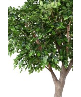 Artificial BEECH S