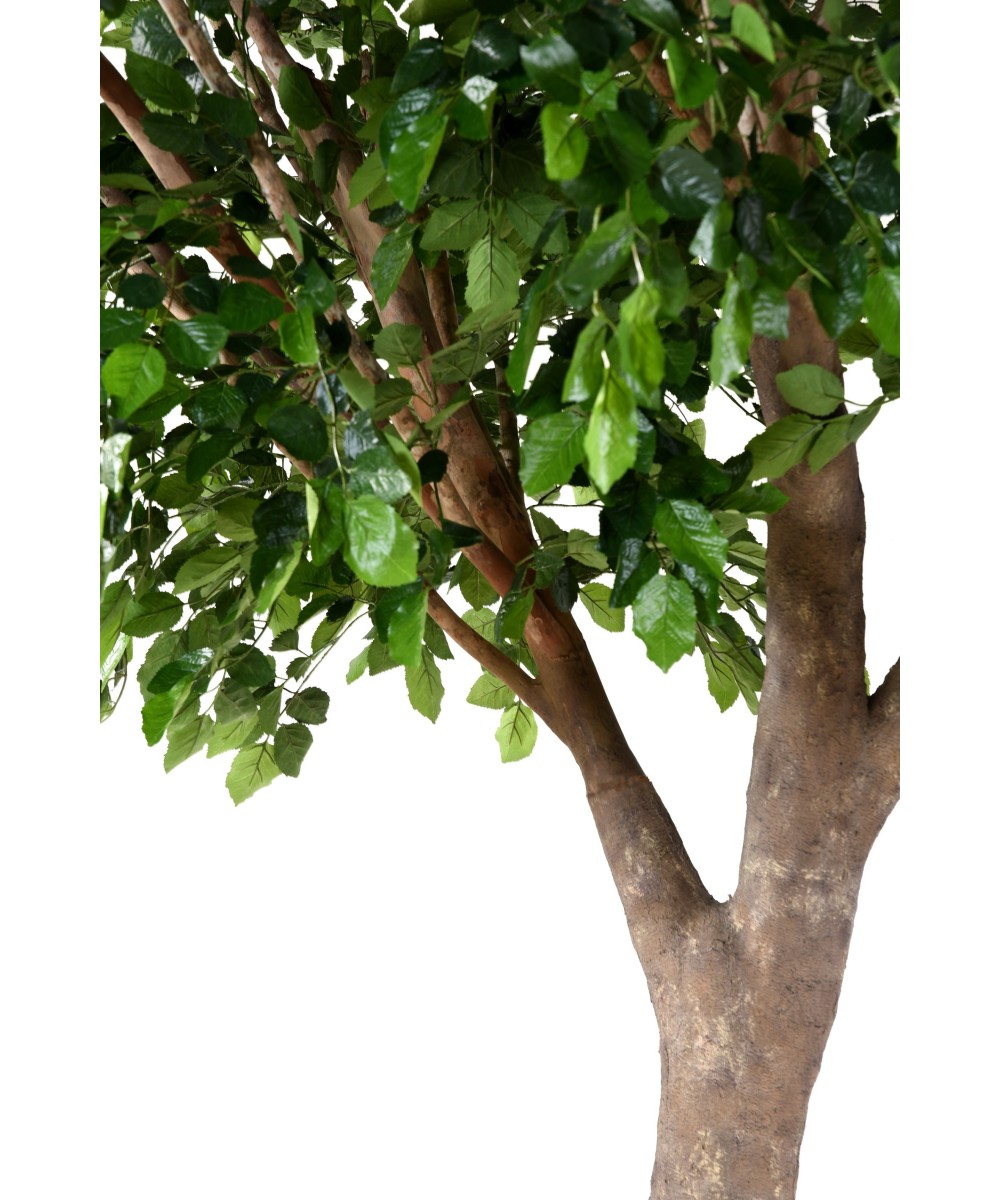 Artificial BEECH S