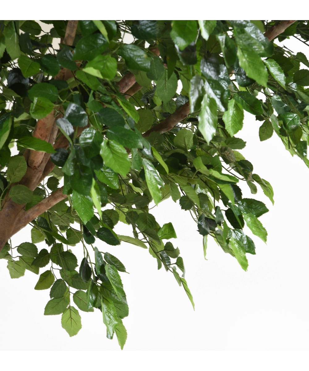 Artificial BEECH S