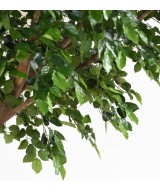 Artificial BEECH S
