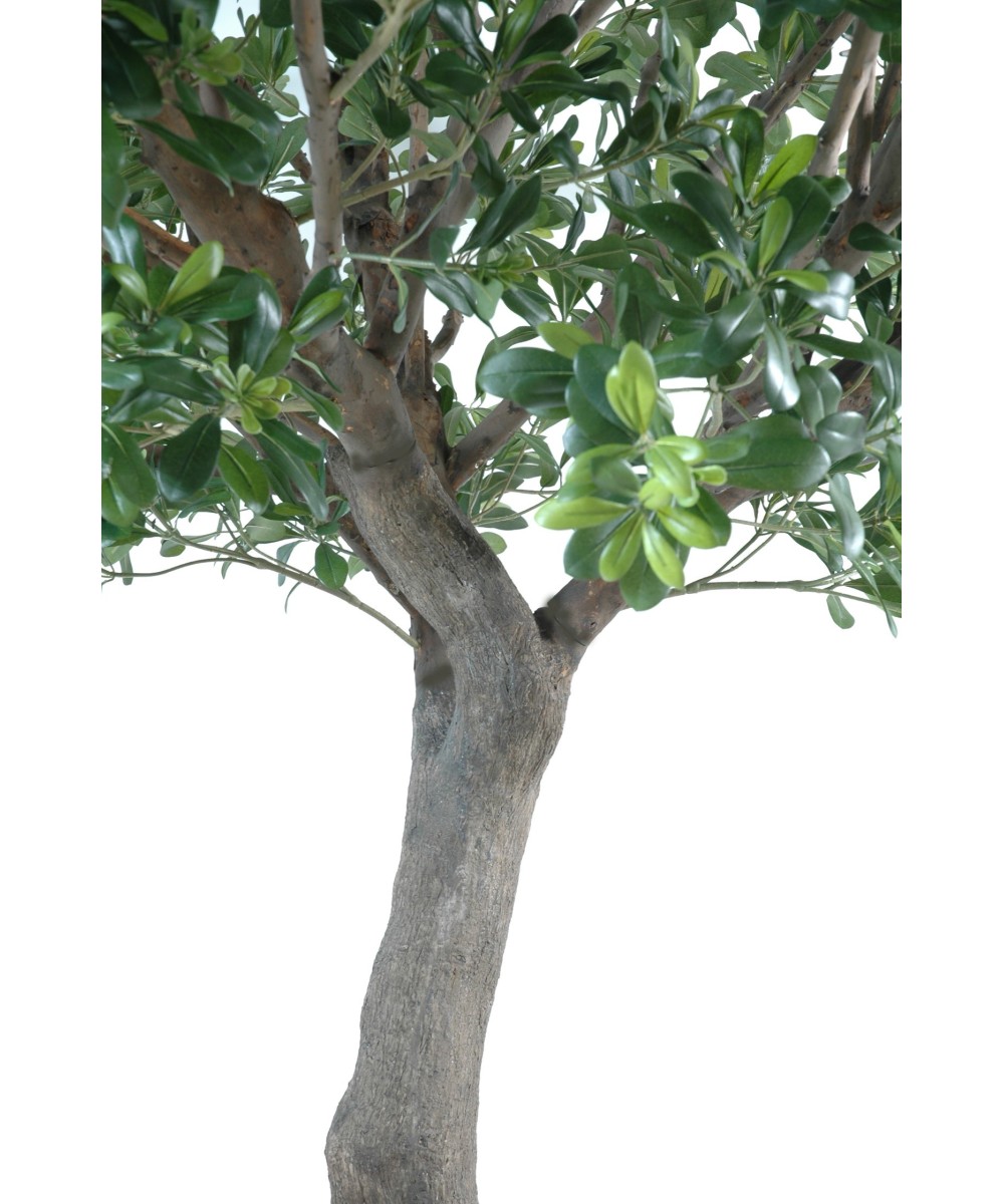 Kunstpittosporum puu